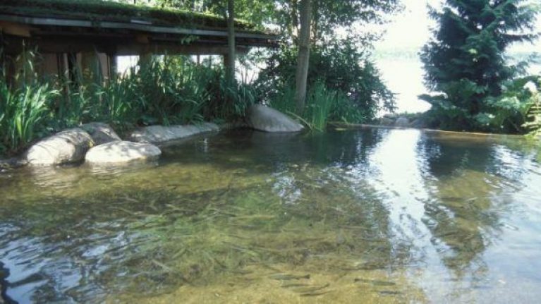 حوضچه مصنوعی